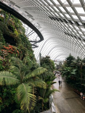 Singapur - 28 Ocak 2019: Singapur 'da Konservatuar Bulut Ormanı Kubbesi Panoraması