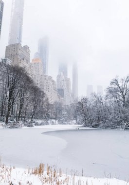 Manhattan, New York, Usa - 2 Mart 2019: kardaki ağaçlar ve binalar