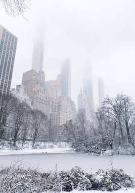 Manhattan, New York, Usa - 2 Mart 2019: kardaki ağaçlar ve binalar
