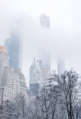 Manhattan, New York, Usa - 2 Mart 2019: kardaki ağaçlar ve binalar