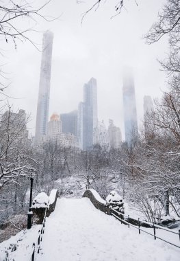 Manhattan, New York, Usa - 2 Mart 2019: kardaki ağaçlar ve binalar