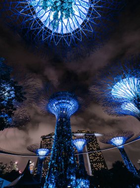 Geceleri Singapur, Bay 'den Gardens manzarası