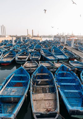 Körfezdeki mavi botların manzarası, Essaueira, Fas