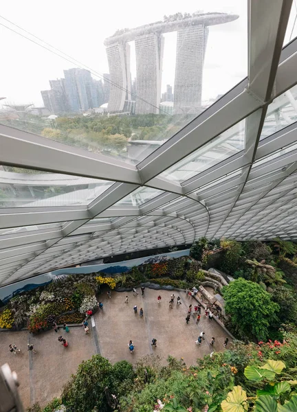 Singapore Januari 2019 Panorama Van Conservatory Cloud Forest Dome Singapore — Stockfoto