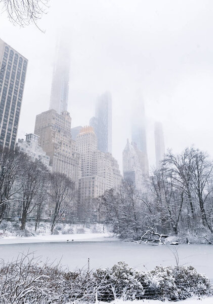 Manhattan, New York, USA - March 2, 2019: trees and buildings in snow