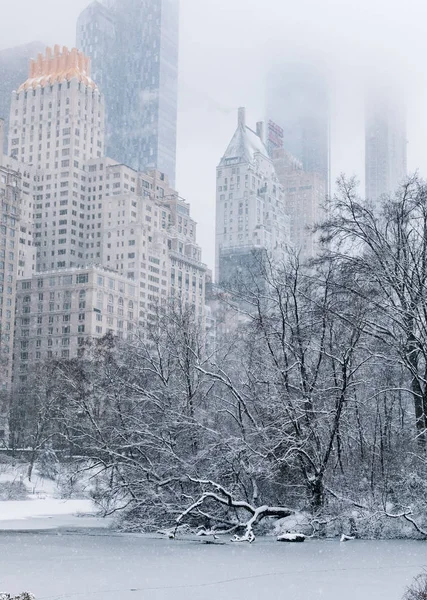 Manhattan New York Usa Mars 2019 Träd Och Byggnader Snö — Stockfoto