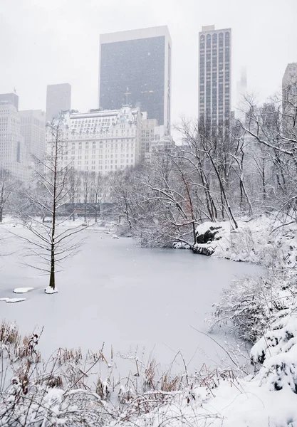 Манхэттен Нью Йорк Сша Марта 2019 Года Деревья Здания Снегу — стоковое фото