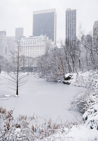 Manhattan, New York, USA - March 2, 2019: trees and buildings in snow