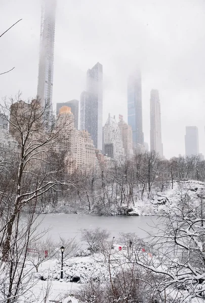 Manhattan New York Usa Maart 2019 Bomen Gebouwen Sneeuw — Stockfoto