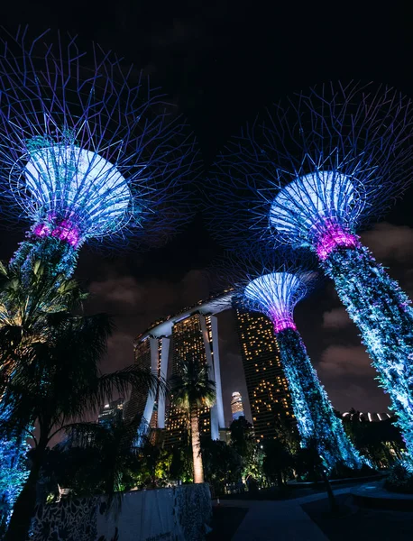 Malerischer Blick Auf Gärten Der Bucht Singapore Bei Nacht — Stockfoto