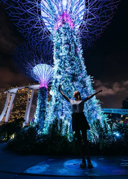 Vista Panoramica Della Donna Gardens Bay Singapore — Foto Stock