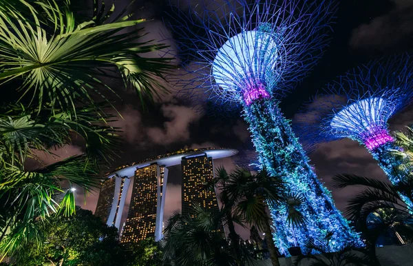 Malerischer Blick Auf Gärten Der Bucht Singapore Bei Nacht — Stockfoto