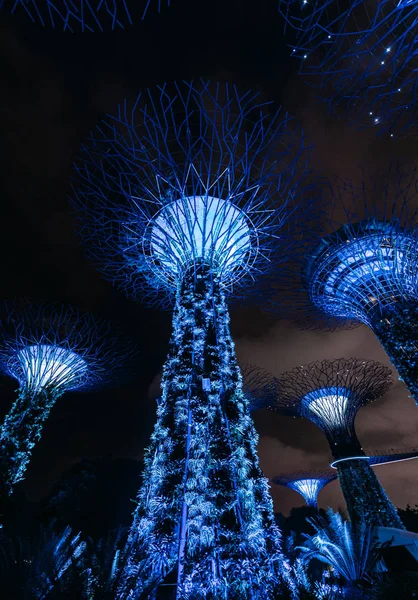 Vista Panoramica Giardini Bay Singapore Notte — Foto Stock