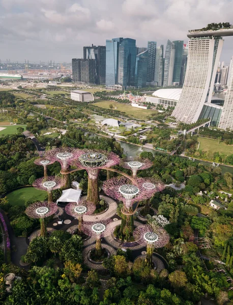 Vue Panoramique Sur Gardens Bay Singapour — Photo