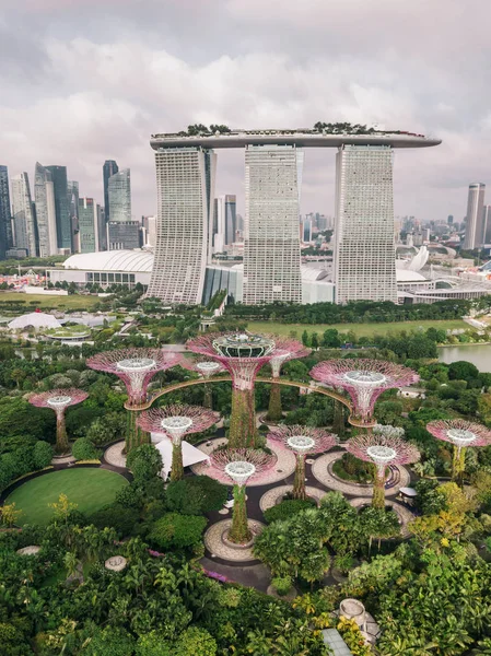 Vacker Utsikt Över Trädgårdar Bay Singapore — Stockfoto