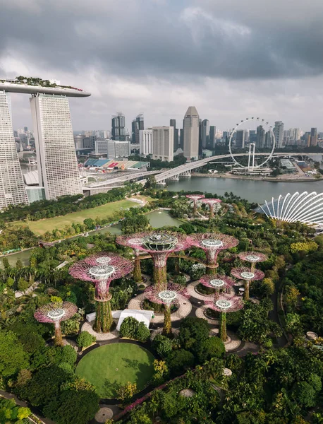 Vue Panoramique Sur Gardens Bay Singapour — Photo