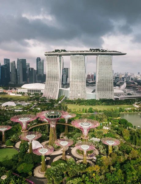 Vue Panoramique Sur Gardens Bay Singapour — Photo