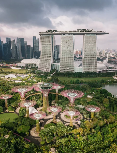 Vue Panoramique Sur Gardens Bay Singapour — Photo