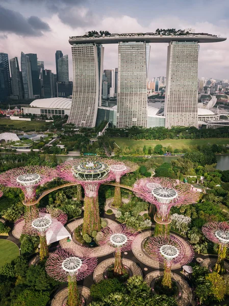 Vacker Utsikt Över Trädgårdar Bay Singapore — Stockfoto