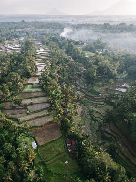 Живописный Вид Тегаллаланг Рис Теракче Бали Индонезия — стоковое фото