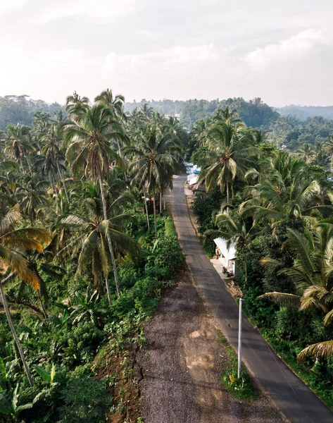 Vista Panoramica Tegallalang Rice Teracce Bali Indonesia — Foto Stock