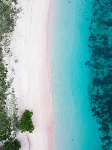 Vista Panorâmica Pink Beach Parque Nacional Komodo Indonésia — Fotografia de Stock