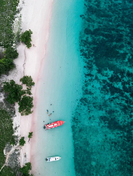Vista Panoramica Sulla Spiaggia Rosa Parco Nazionale Komodo Indonesia — Foto Stock