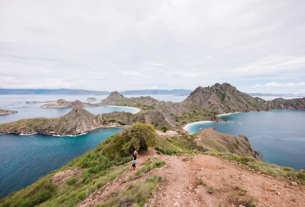 Vue Panoramique Sur Île Padar Parc National Komodo Indonésie — Photo