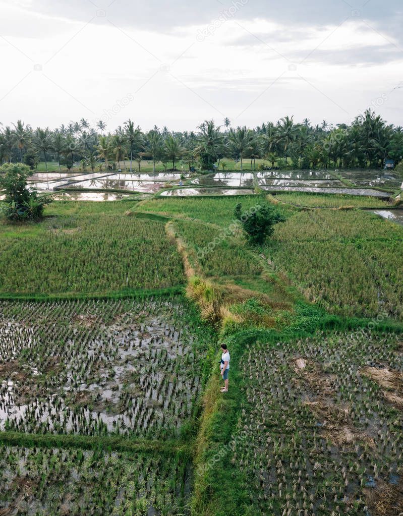 scenic view of Tegallalang Rice Teracce, Bali, Indonesia