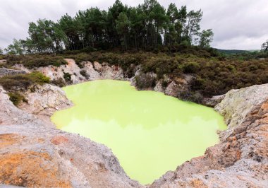 Yeni Zelanda 'da Wai-o-Tapu