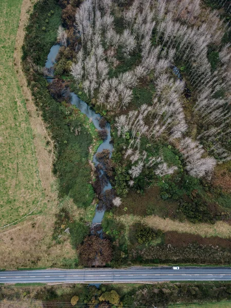 Paisagem fluvial na Nova Zelândia — Fotografia de Stock