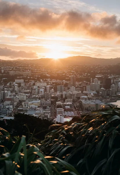 Wellington belvárosában és kikötőjében naplementekor — Stock Fotó