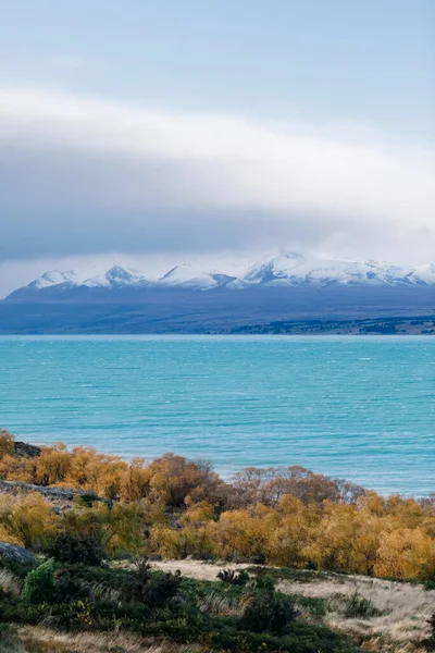 Pukakisjön, Nya Zeeland — Stockfoto