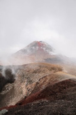 Tongariro Milli Parkı, Yeni Zelanda