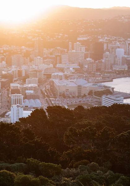 Wellington centro da cidade e porto ao pôr do sol — Fotografia de Stock