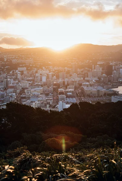 Wellington belvárosában és kikötőjében naplementekor — Stock Fotó