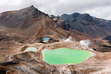 Tongariro Milli Parkı, Yeni Zelanda