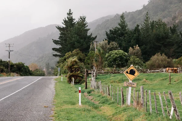 Cameo shell sinal de travessia na Nova Zelândia — Fotografia de Stock