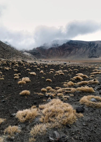 Parque Nacional Tongariro, Nova Zelândia Imagens De Bancos De Imagens