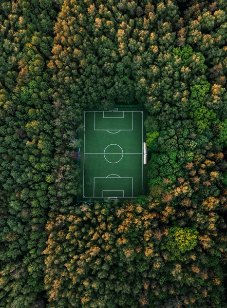Вид с воздуха на футбольное поле в лесу — стоковое фото