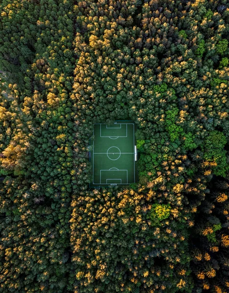 Veduta aerea di un campo di calcio nella foresta — Foto Stock
