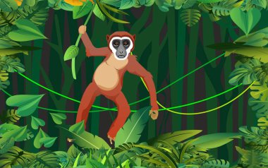 Sahne açılır, maymun ağaç dalına asılır, yeşillik çerçevesi, gece ormanı, vektör şablonu