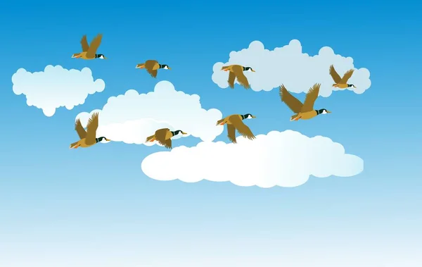 Zugvögel Fliegen Den Wolken Vektor — Stockvektor