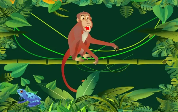 ジャングルシーン 猿は木の枝に座って 緑の葉のフレーム 夜のジャングル ベクトルテンプレート — ストックベクタ