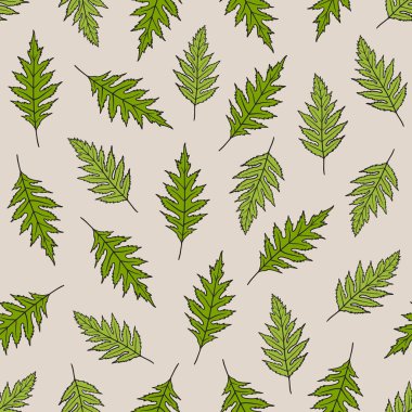 Haşhaş yaprakları ile Seamless modeli. Çiçek duvar kağıdı, soyut doğa arka plan. Yaz vektör çizim. Tasarım şablonu Tekstil, defter kapağı, duvar kağıdı, ambalaj kağıdı, vb için yazdırma.