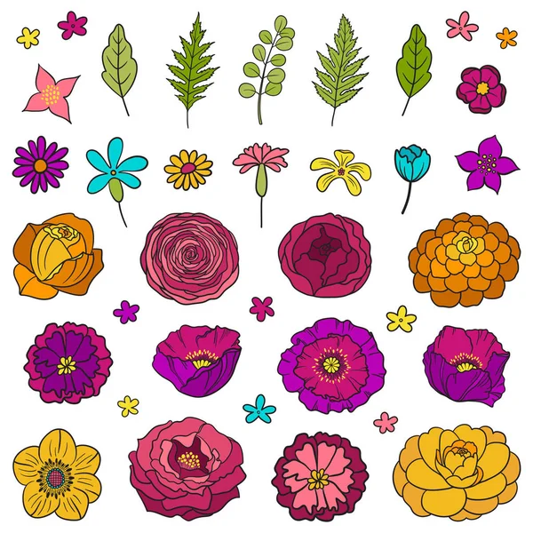Elementos Florales Dibujados Mano Conjunto Diferentes Flores Hojas Tema Estilo — Archivo Imágenes Vectoriales