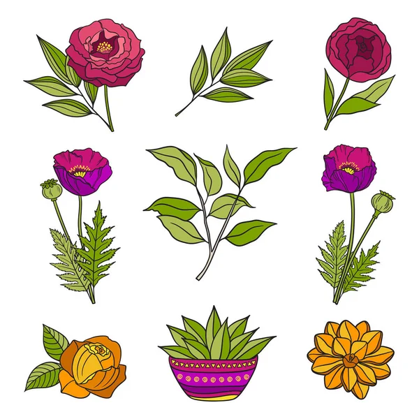 Elemente Florale Desenate Manual Set Flori Frunze Diferite Tema Stilului — Vector de stoc