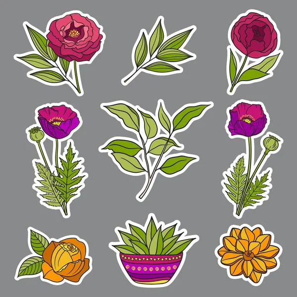 Blumen Handgezeichnete Aufkleber Set Aus Verschiedenen Blumen Und Blättern Boho — Stockvektor