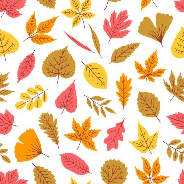Beyaz arka planda yaprakları olan kusursuz desenler. Akçaağaç, ıhlamur, kavak, ginkgo ve diğerleri. Tekstil, paket, kağıt baskısı. Pembe, turuncu, sarı, kahverengi renkler. Vektör illüstrasyonu