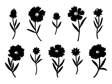 Kır çiçekleri seti, siluetler. Yabani bitki koreopsileri, çayır çiçekleri ve tomurcukları. Tasarım projeleri için botanik unsurlar, siyah mürekkep. Ayrıntılı çiçek vektör illüstrasyonu